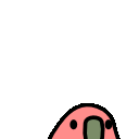 short_parrot