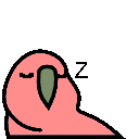 sleeping_parrot