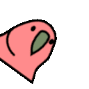 spinning_parrot