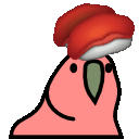 sushi_parrot
