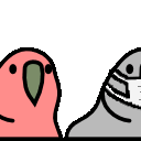 tenetparrot