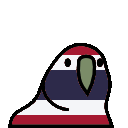 thailand_parrot