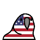 usa_parrot