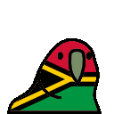 vanuatu_parrot