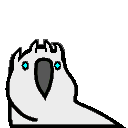 white_walker_parrot