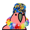 zouk_parrot