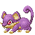 rattata