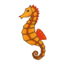 seahorse