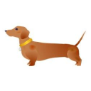 sausagedog-daschund